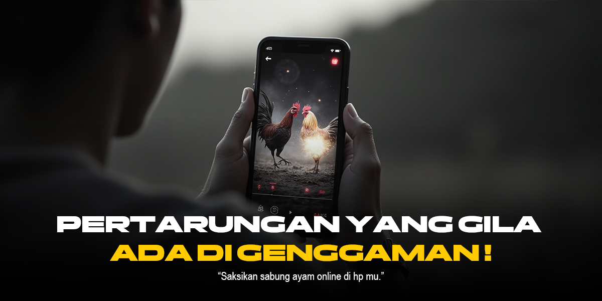Mengenal Jenis Ayam Bangkok Tarung di SV388 Sabung Ayam